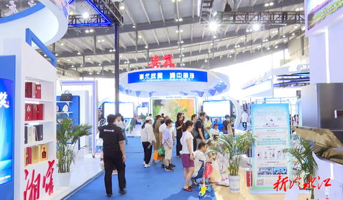 冷水江三家企業亮相第三屆中國非洲經貿博覽會，共拓經貿咨詢新機遇